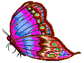 Butterfly7.gif