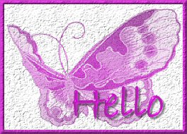 Hello_Butterfly_Dash.jpg