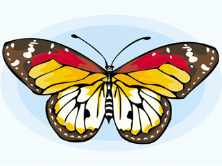 butterfly16.gif