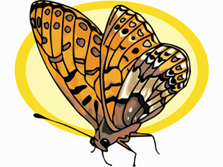 butterfly32.gif