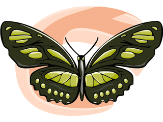 butterfly37.gif
