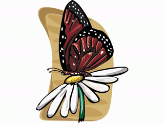 butterfly41.gif