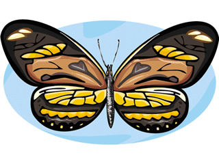 butterfly44.gif