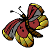 papillons-17.gif