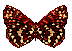 vlinders21.gif