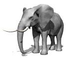 http://www.picturesanimations.com/e/elephant/1.gif