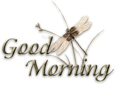 GoodMorning-Dragonfly-TisTag.jpg