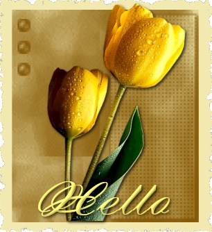 yaz-yellowtulips-hello.jpg