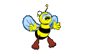 37.gif