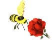 4.gif