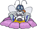 43.gif