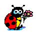 59.gif