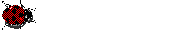 8.gif