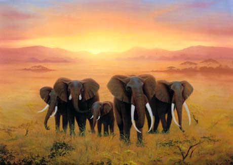 elephantsunset.jpg