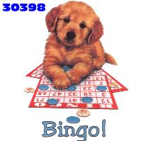bingo06.jpg