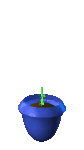 37.gif