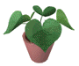 4.gif