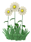 45.gif