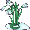 51.gif