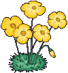 52.gif