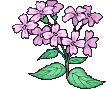 53.gif