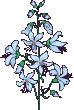 54.gif
