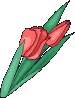 57.gif