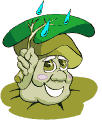 6.gif