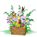 9.gif