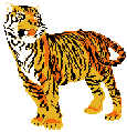 tijger3.gif