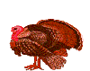 4.gif