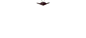 0021.gif