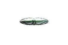 011.gif