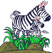 zebra02.gif