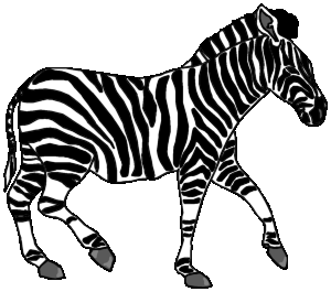 zebra6.gif