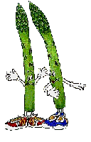 005.gif