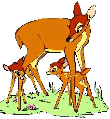 bambi08.gif