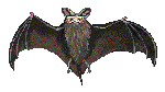 bats_1.gif