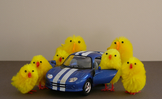 duck_car.jpg