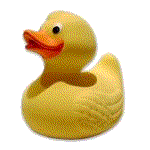 rubber_duck.gif