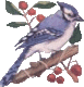 Bird1l.gif