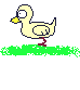duck11.gif