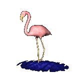flamingo5Fstand5Fmd5Fblk.gif