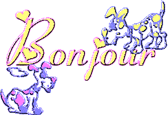 bonjouriii.gif