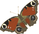 Papillon_01.gif