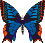Papillon_08.gif