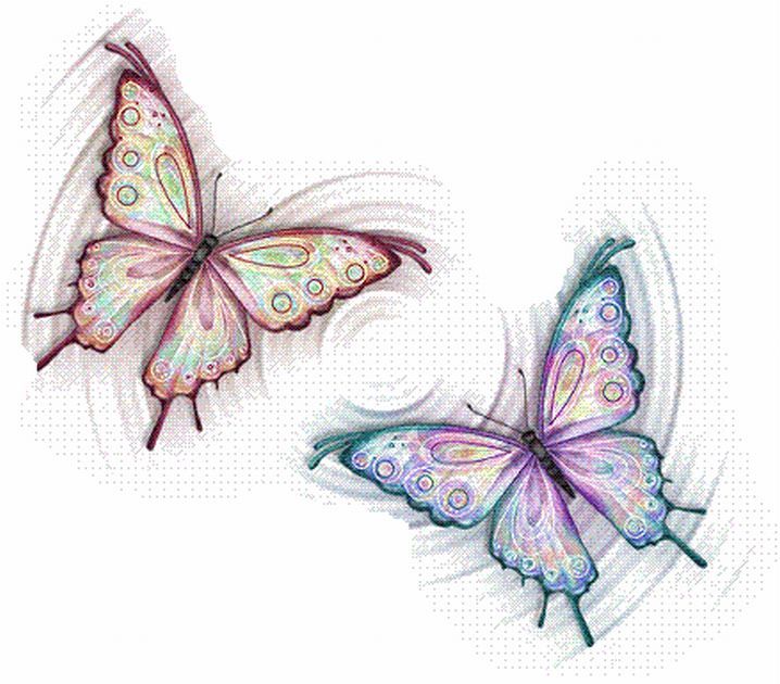 butterfly053.jpg