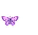 butterfly071.gif