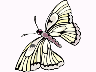 butterfly14.gif