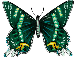 butterfly23.gif